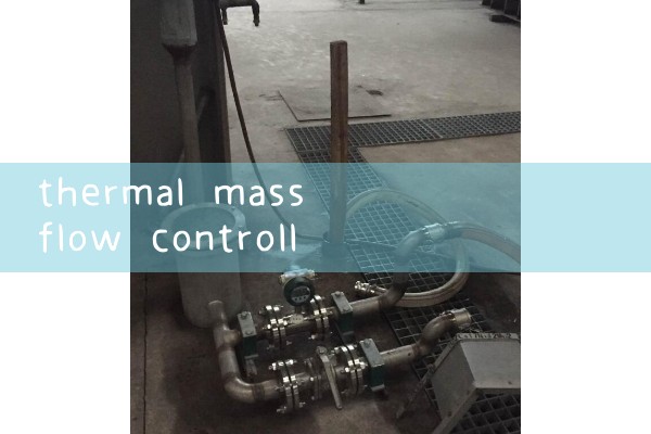 thermal mass flow controller|heat flow meter